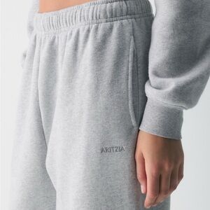 Aritzia Cozy Sweatfleece Mega Jogger